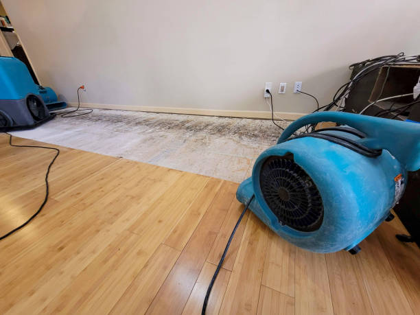 Professional Flood Damage Cleanup technician working in Mokena, IL